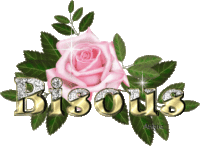 bisous rose