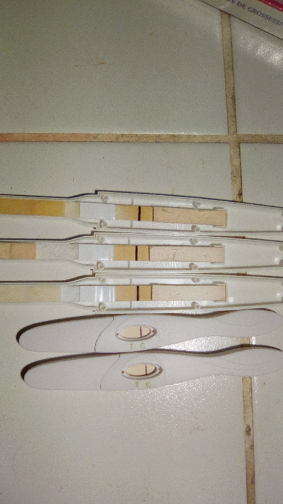 A Quoi Ressemble Une Barre Devaporation Barre d'evaporation sur TOUS les tests