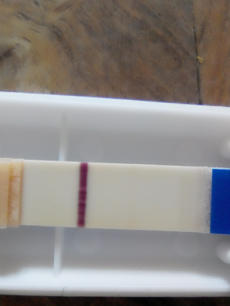 A Quoi Ressemble Une Barre Devaporation Barre d'evaporation sur TOUS les tests ??? - Tests et symptômes de