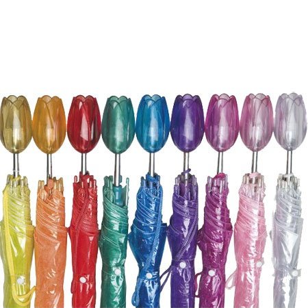 parapluie-transparent-couleurs-tulipe