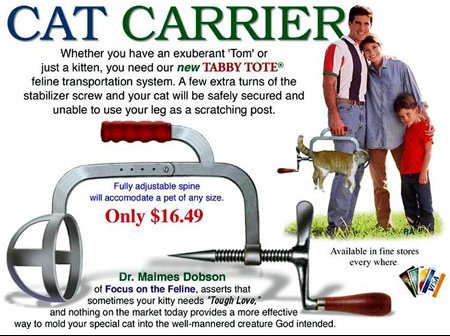 Scarica Gratis Images Comment Emmener Mon Chat Chez Le Veto Chats Forum Animaux le plus cool salutations