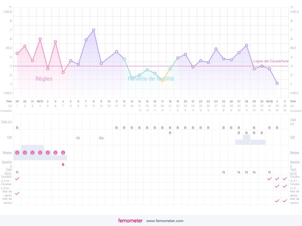 Courbe de Température 2 ovulations mais pas de règles ? votre avis
