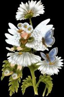 fille papillon fleurs-1036491df1
