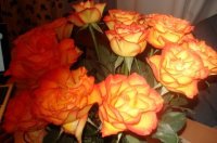 roses orangées ourlées bouquet