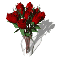 roses rouges bouquet