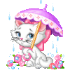 chat pluie parapluie