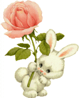 lapin offre rose