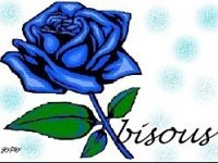bisous rose bleue