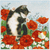 un chaton parmi les fleurs sauvages