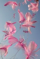 guirlande plumes rose