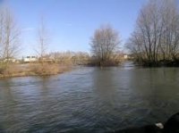 La Loire, un des derniers fleuve sauvage