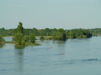 La Loire magnifique et ses paysages