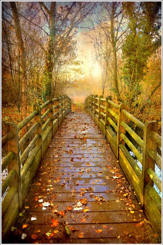 pont en automne