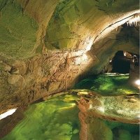 grotte de La Cocaliere dans le Gard