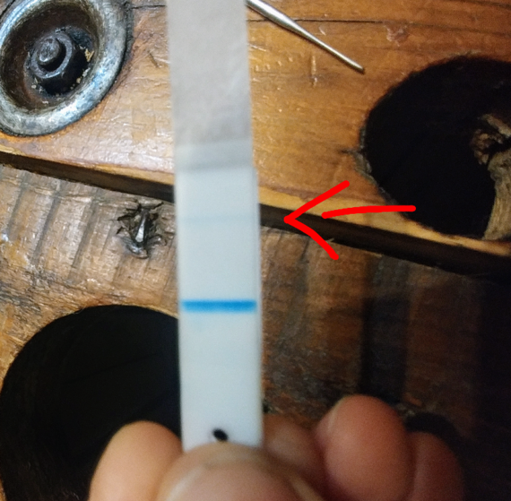 18dpo, retard de règles mais test négatif! Aide!!! Désir d