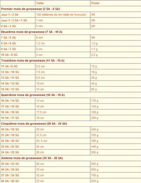 Mesures Embryon Futures Mamans Forum Grossesse Amp Bebe Doctissimo Mesures Embryon Futures Mamans Forum Grossesse Amp Bebe Doctissimo