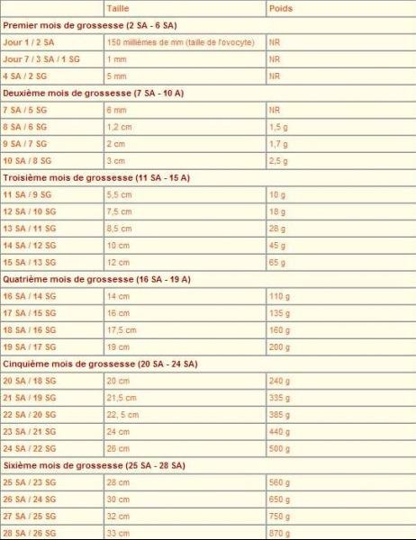 Mesures Embryon Futures Mamans Forum Grossesse Amp Bebe Doctissimo Mesures Embryon Futures Mamans Forum Grossesse Amp Bebe Doctissimo