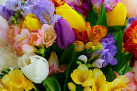 122631594-bouquet-de-tulipes-et-fleurs-de-freesias-fond-naturel-close-up