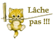 Club doctissimo Club doctissimo