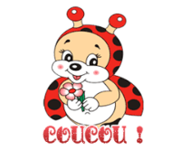 Coucou coccinelle