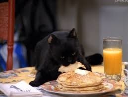 chat noir dessert