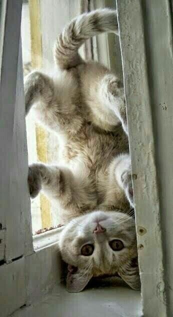 img-31188793399.jpg img-31188793399.jpg