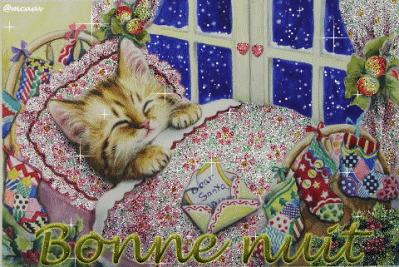 Bonne Nuit Chat A Propos Du Belline Et Gifs Lannna Photos Club Doctissimo Bonne Nuit Chat A Propos Du Belline Et Gifs Lannna Photos Club Doctissimo