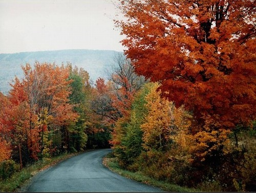 automne Québec 5