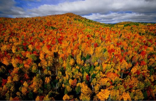 automne Québec 25