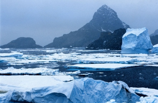 icebergs-antarctique