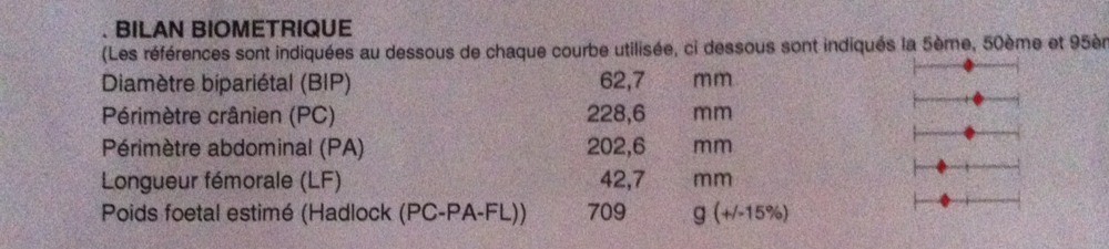 Poids Du Bebe A 24sa 5 Echographie Connaitre Le Sexe De Votre Bebe Forum Grossesse Amp Bebe Doctissimo