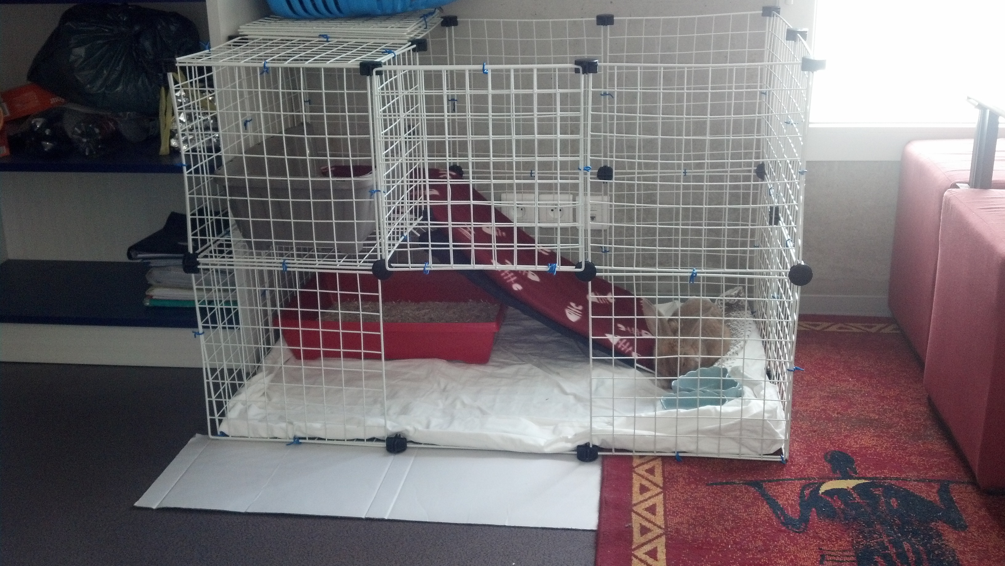 Cube Modulable Hamsters Cochons D Inde Lapins Forum Animaux