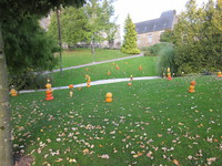 décoration d'Halloween au jardin public