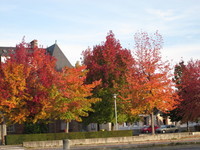 automne à Fougères