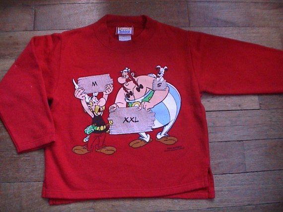 JOLI SWEAT PARC ASTERIX 5 ANS  5 EUROS