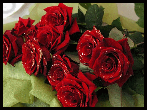 http://images.doctissimo.fr/1/arts-et-creations/roses-fleurs/photo/hd/7187192718/15805318622/roses-fleurs-merci-nadin-big.gif
