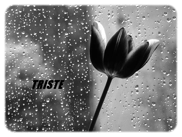 Triste Photos Noir Blanc Noir Rouge Etc Souricette Photos Club Doctissimo Triste Photos Noir Blanc Noir Rouge Etc Souricette Photos Club Doctissimo