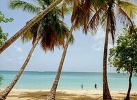 Les Salines - Martinique