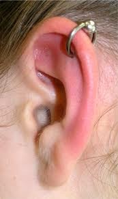 Piercing Cartilage Oreille Bebe Grandit Forum Grossesse Amp Bebe Doctissimo Piercing Cartilage Oreille Bebe Grandit Forum Grossesse Amp Bebe Doctissimo