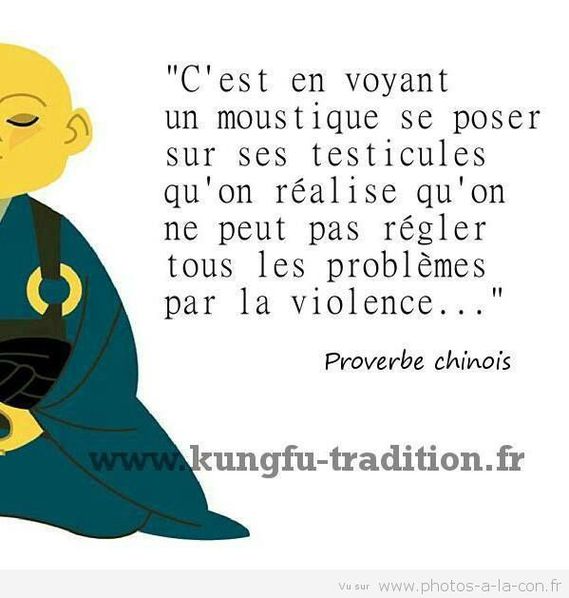 Téléchargement gratuit Images Image Drole Moustique Humour Jeweid Photos Club Doctissimo actualisé par