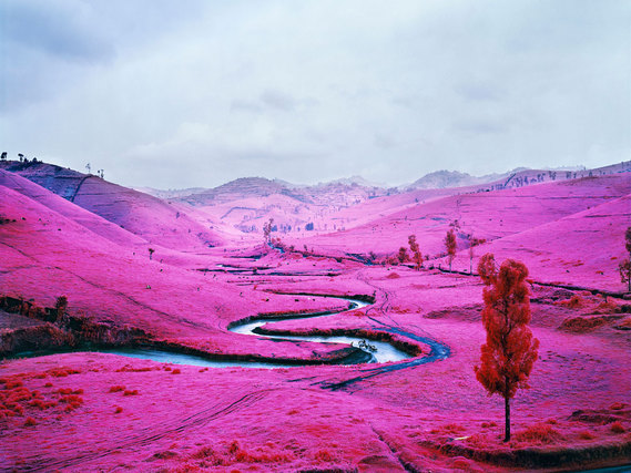 paysage-rose-congo