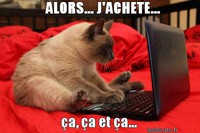 chat avec-ordinateur