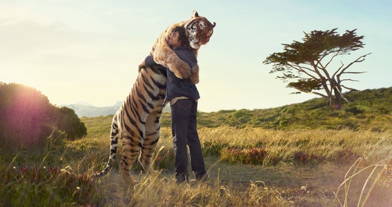 nature-love-between-a-tiger-and-a-man-wallpaper