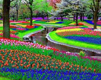 Keukenhof-Pays-Bas-Decouverte-Grand-Jardin-Fleurs-Monde-Hollande-