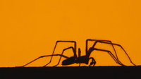1054814__wallpaper-animal-spiders-album-cute-xstqjop-cartoon-high-description-animals-definition_p