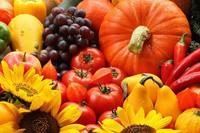 légumes-fruits-de-saison-automne