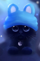 Blue cap, black kitten 640