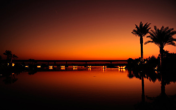 161986__city-dubai-night-night-sunset-orange-black-palm-trees-water-light-reflection_p