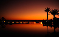 161986__city-dubai-night-night-sunset-orange-black-palm-trees-water-light-reflection_p