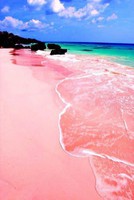 les-sables-roses-des-bahamas